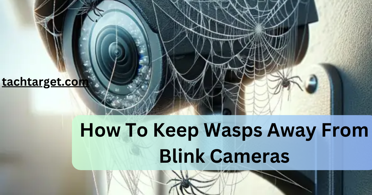 How To Keep Wasps Away From Blink Cameras